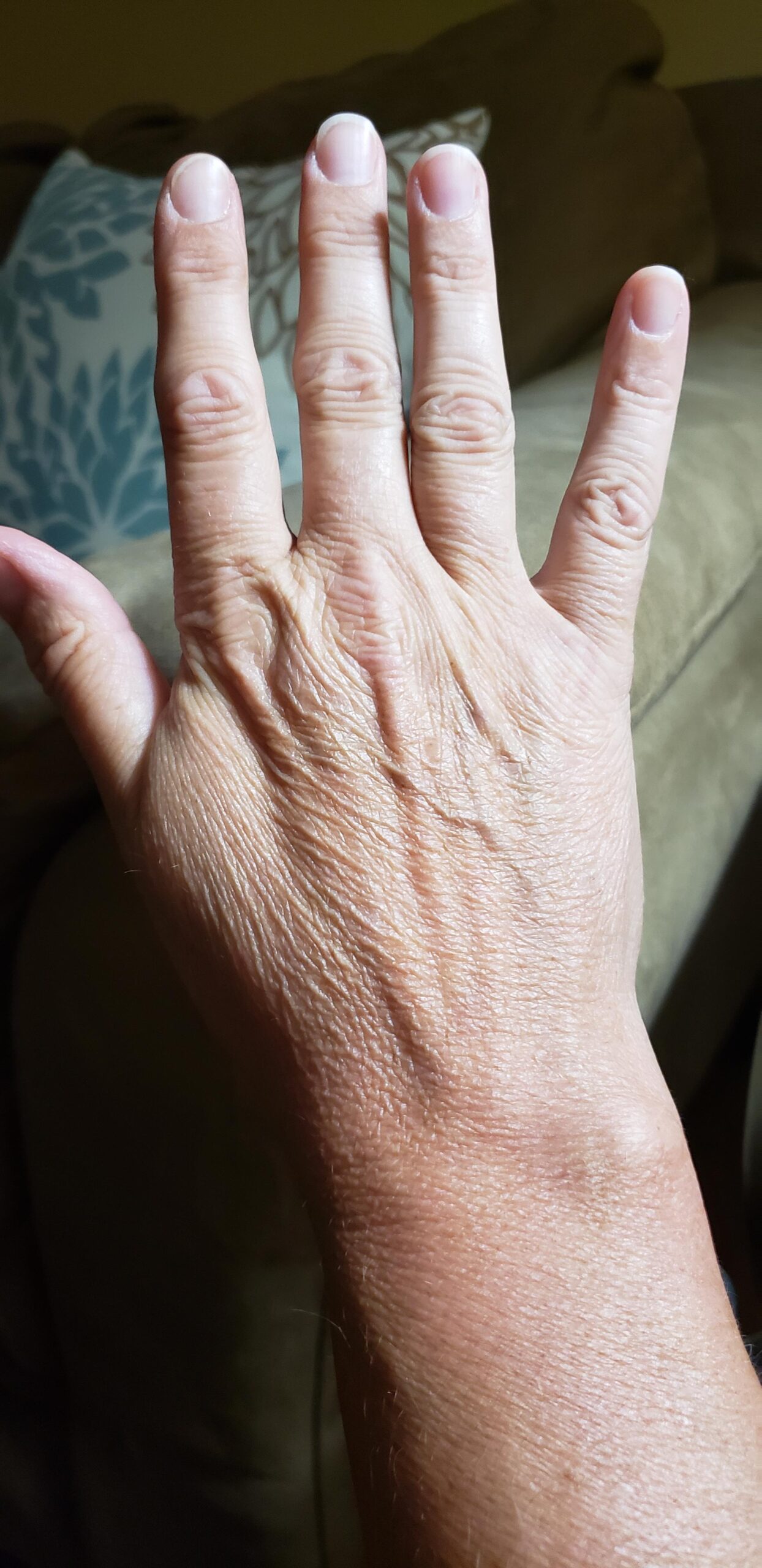 Hands & Face Reading 相學 – ZenElementsofLife 玄樂生活